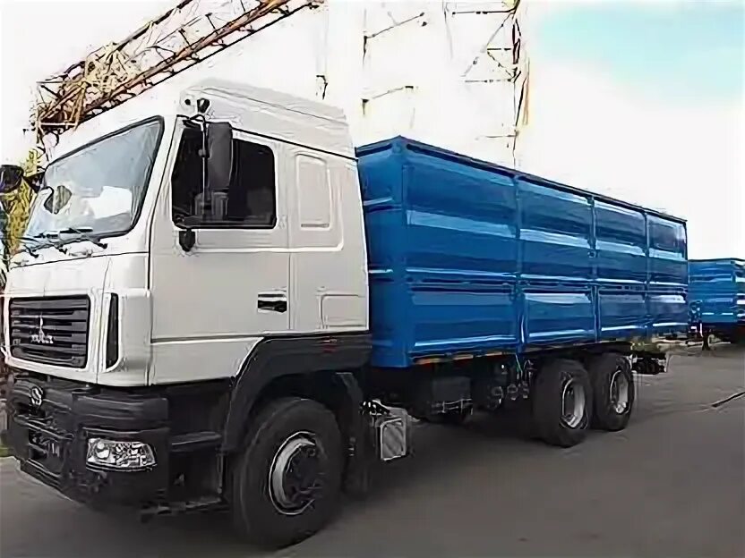 Маз 6501 с5 зерновоз. Маз зерновоз б у. Маз зерновоз б у. Маз 5336 самосвал сельхозник. Камаз зерновоз maz.