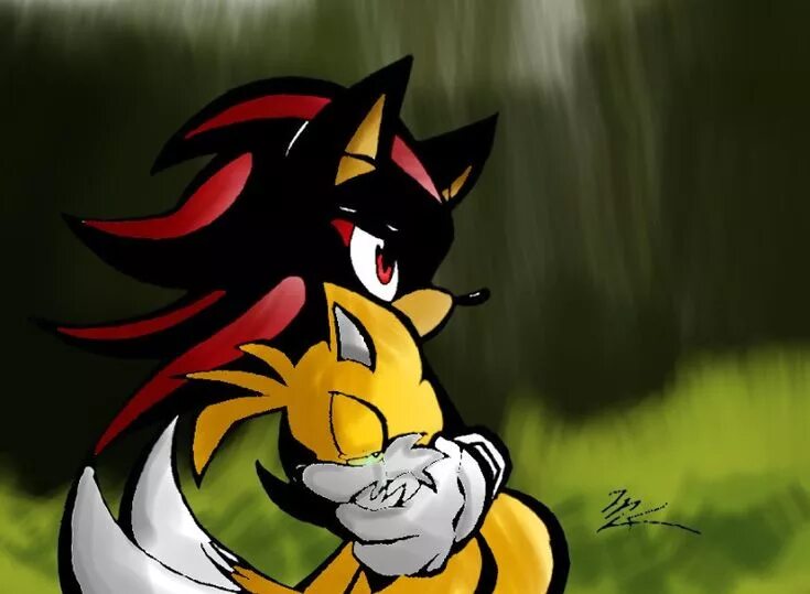 Шедоу и тейлз. Tails x Шедоу. Shadow and Tails Yaoi. Шедоу и Тейлз яой. Sonic x Tails.