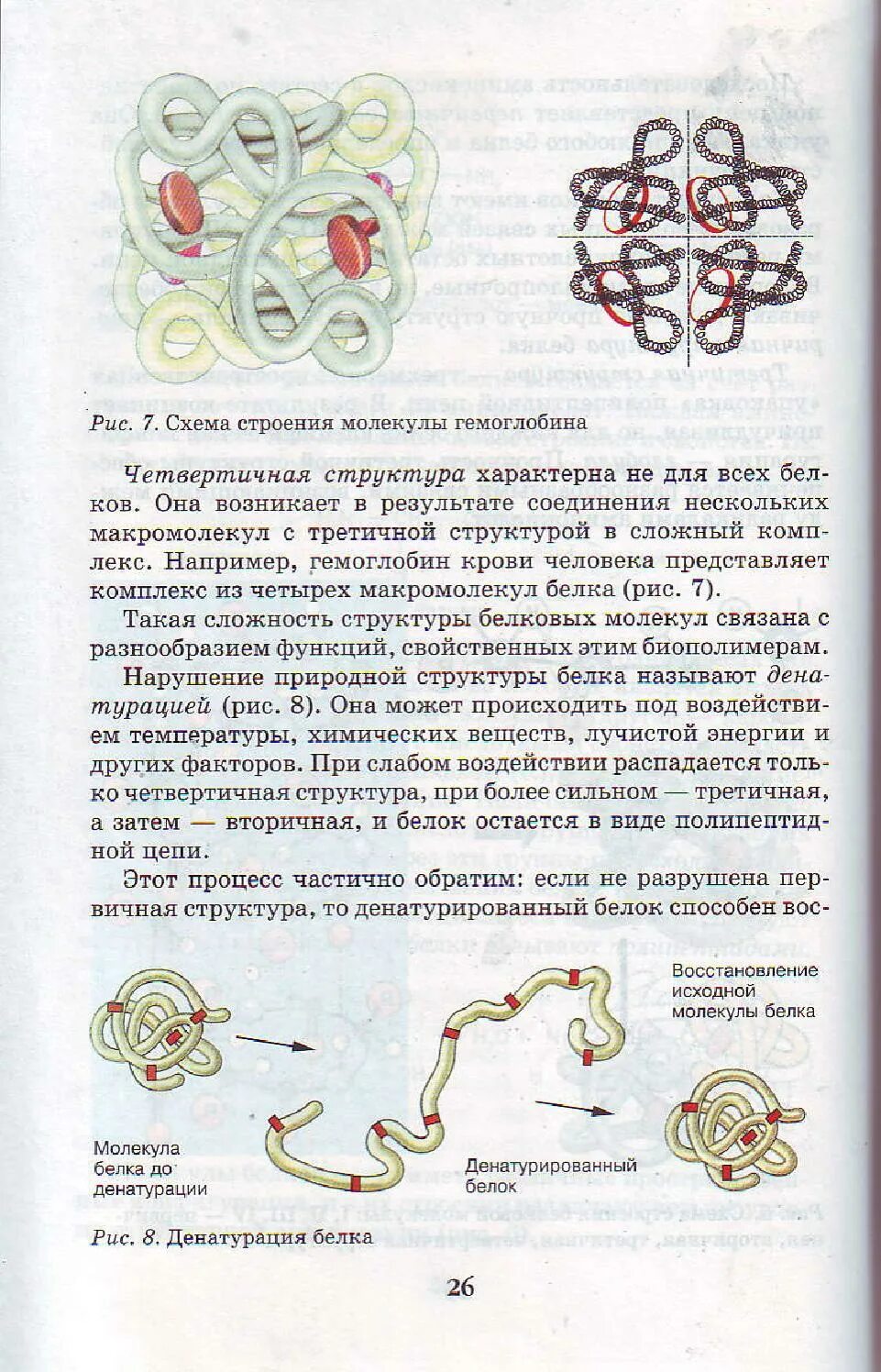 Биология 9 класс Пасечник рис 9. Биология 9 класс 75 страница Пасечник. Биология 9 класс учебник страницы. Биология 9 класс учебник Пасечник. Биология 9 класс учебник конспекты