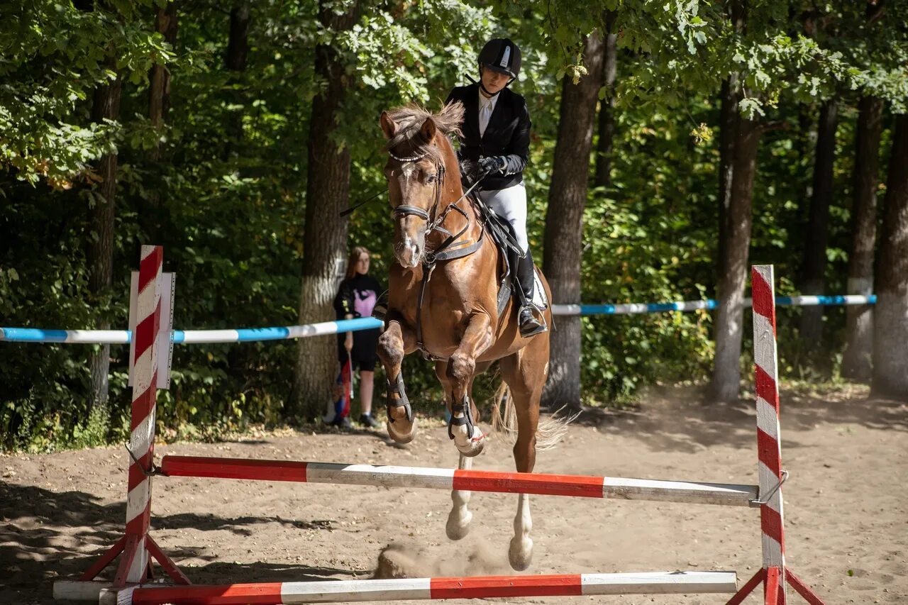 Отрадный кск вакансии. КСК Легион. КСК Легион Самара директор. Конно спортивный клуб Легион. Соревнования КСК Легион Амара.