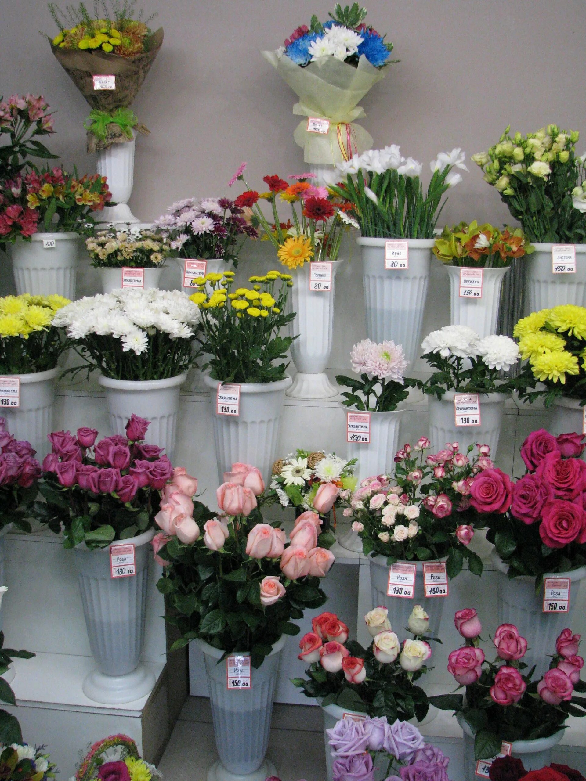 Ассортимент цветочного магазина. Цветы в цветочном магазине. Цветочный магазин комнатных растений. Цветы магазинные. Цветочные магазины кировский