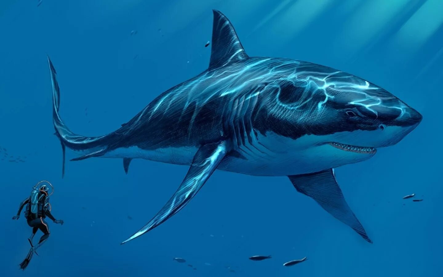 Какой длины акула. Кархародон МЕГАЛОДОН. Рыба акула МЕГАЛОДОН. МЕГАЛОДОН (Otodus Megalodon). Гигантская акула МЕГАЛОДОН.