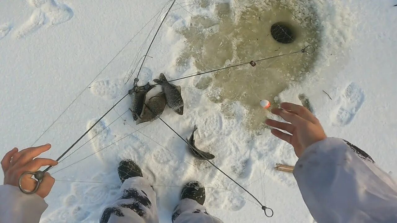 Ловля на хапугу видео. Хапуга для рыбалки. Классная рыбалка. Хапуга для рыбалки зимой. Хапуга для летней рыбалки.