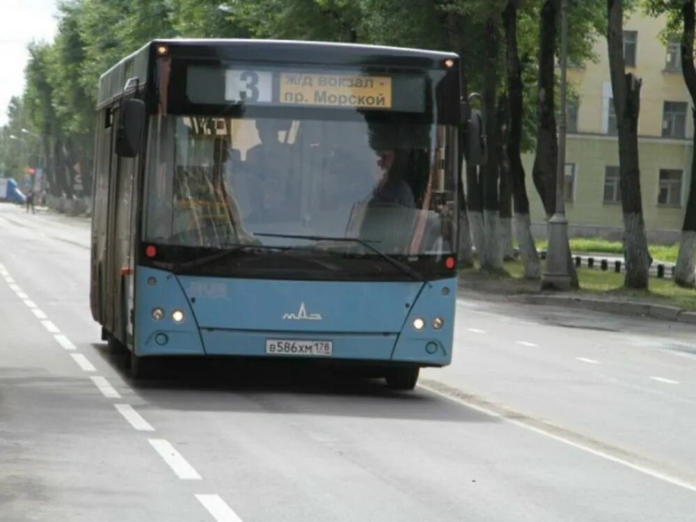 Северодвинск автобус 3. 22 Автобус Северодвинск. Автобусы Северодвинск. Автобус МАЗ В Архангельске. Северодвинск транспорт.