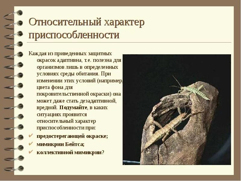 В чем заключается относительный характер приспособлений. Относительность приспособ. относительность приспособленности. относительность приспособленности камбалы. относительные характеристики приспособленности.
