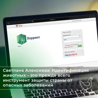 Фгис минсельхоз