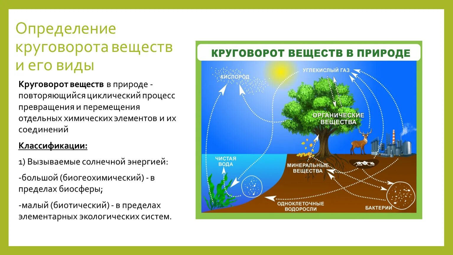 Круговорот веществ в природе. Биогеохимический круговорот веществ. Биогеохимический круговорот веществ в природе. Круговорот веществ в биосфере.