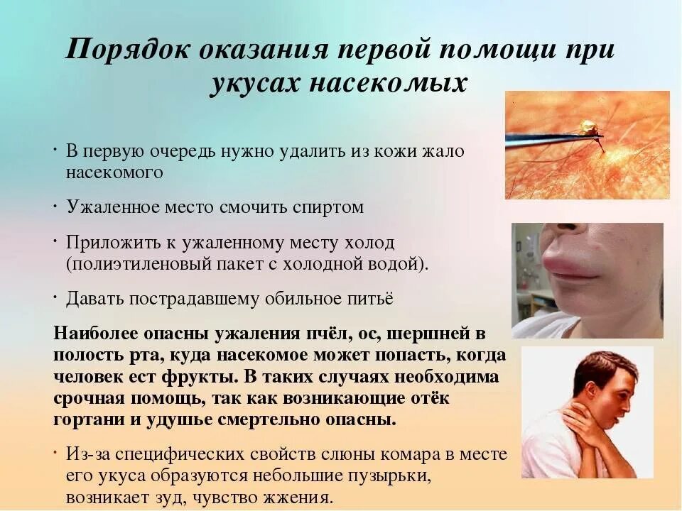 Алгоритм помощи при укусах. Оказание первой помощи при укусах змей и насекомых. Правила оказания первой помощи при укусах ядовитых насекомых. Оказание первой помощи при укосов насекомых. Оказание 1 помощи при укусах насекомых.