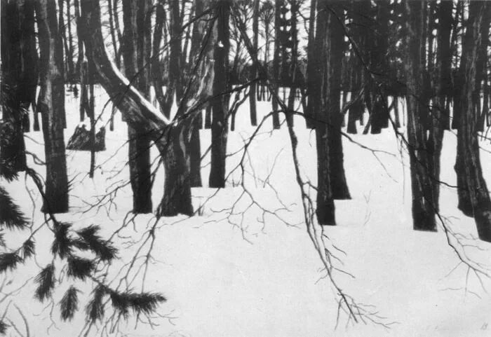 О г верейский художник. Верейский художник. О г верейский художник. О г верейский художник. О г верейский художник.