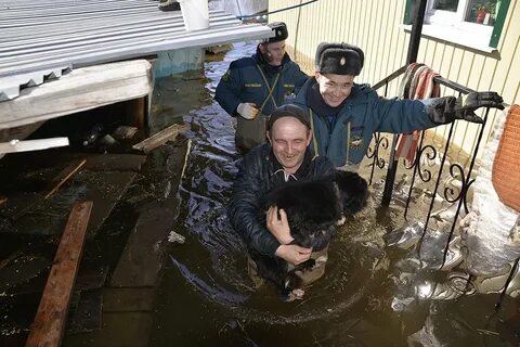 Какие улицы в ишиме в зоне подтопления