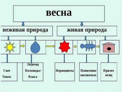 Как связана живая и неживая природа 2