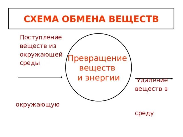 Схема обменных процессов в организме. Схема обмена веществ и превращения энергии в организме. Обенвеществипревращениеэнерьгии. Схема обмен веществ и превращение энергии. Схема обмена веществ.