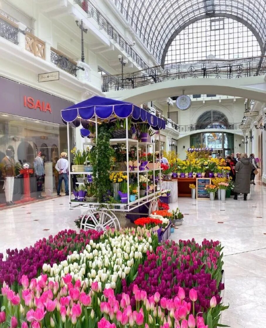 Петровский Пассаж Москва. Тюльпаны Боско Петровский Пассаж. Петровский Пассаж тюльпаны. Петровский Пассаж Москва цветочный базар. Петровский пассаж выставка цветов 2024