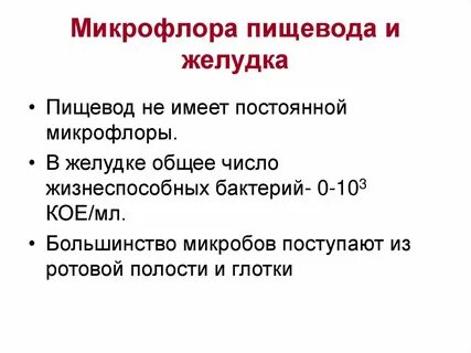 Микрофлора желудка