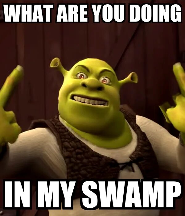 Title what are you doing. What are you doing in my Swamp. Туалет Шрека. What are you doing. Шрек репер.