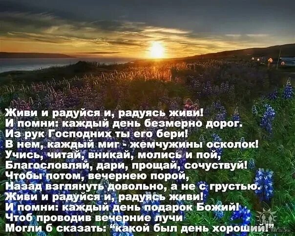 Пока живёшь на свете радуйся. Радуйся слова песни пока живешь. Стих рубальской годы идут годы движутся. Радуйся каждому дню. Пока живешь на белом свете радуйся.