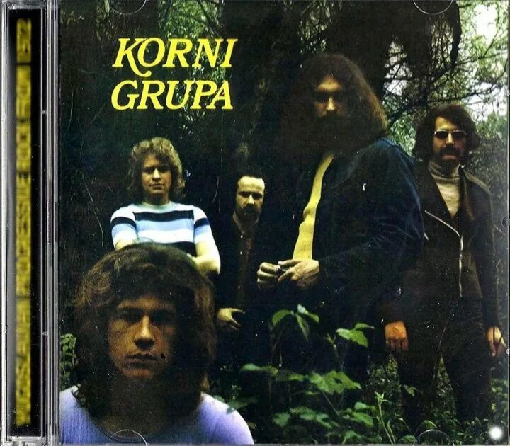 Корни обложка. Танцы 50х годов. Группа divlje jagode. Корни твист. Корни твист.