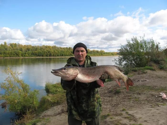 Прогноз погоды в чулыме