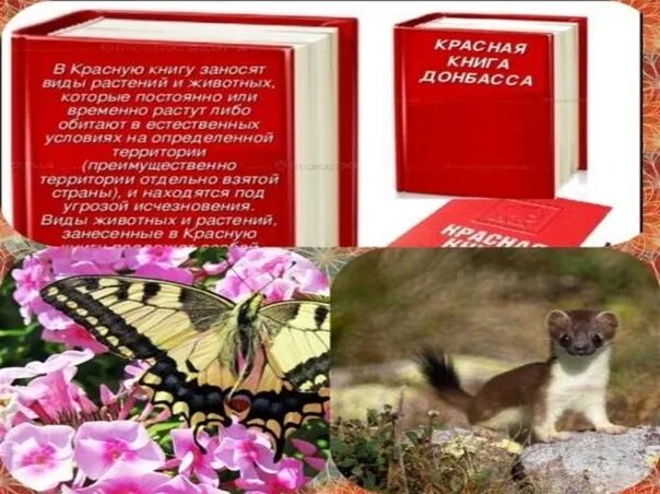 Красная книга ЛНР