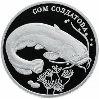Рубль сом