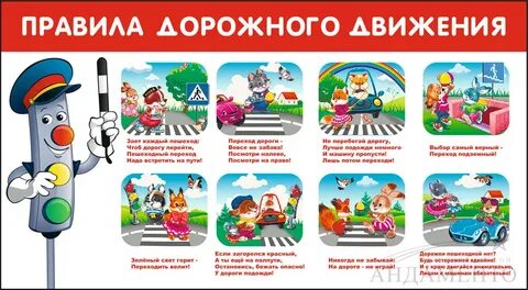 Почему правила дорожного движения важны