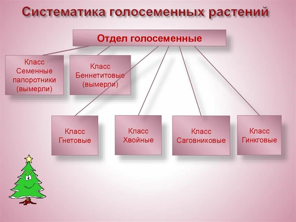 Многообразие и значение