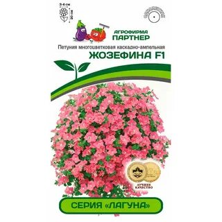 Петуния лагуна
