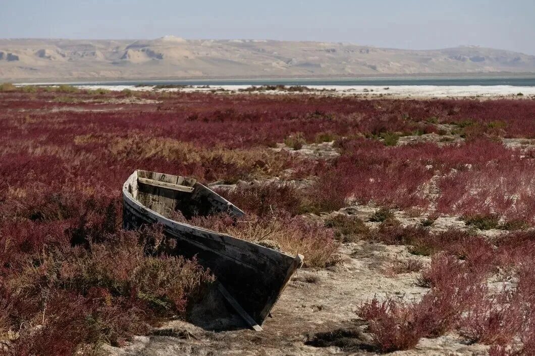 Барсакельмес солончак. Высохшее аральское море 2020. Где исчезло море. Где исчезло море. Высохшее море в казахстане.