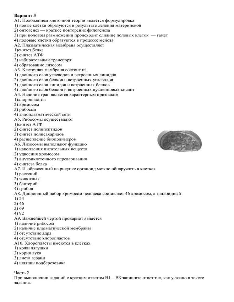 Тест б 9.3 с ответами. Зачет по биологии 9 класс клеточный уровень с ответами Пасечник. Клеточный уровень это в биологии. Клеточный уровень тест. Тест клеточный уровень 9 класс 3 вариант ответы.