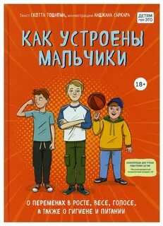 Как устроены мальчики