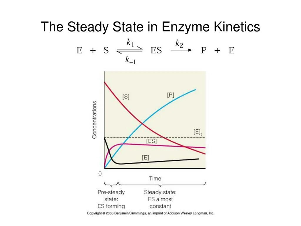 Steady state