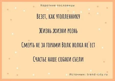 Век долог а час короток пословица
