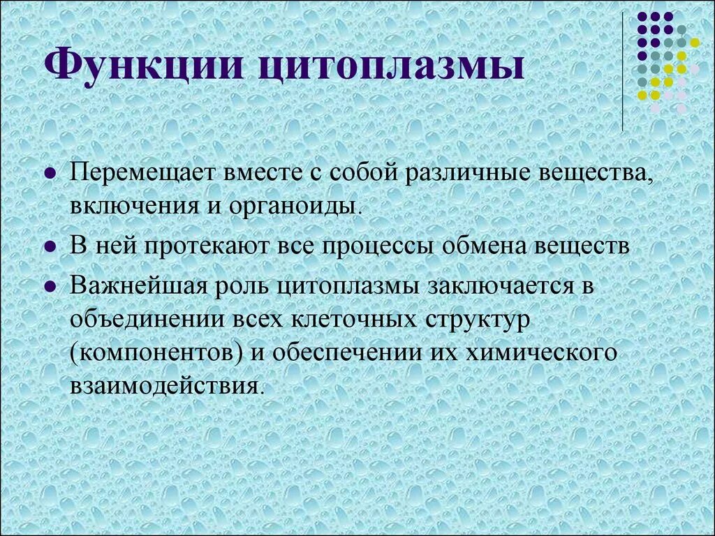 Основные функции цитоплазмы. Цитоплазма строение и функции. Каково значение цитоплазмы структуры в жизнедеятельности клетки