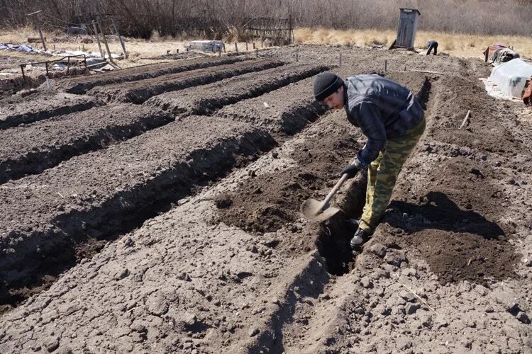 Копка огорода. Копка огорода. Перекопка участка. Выкопать грядку. Копать огород.