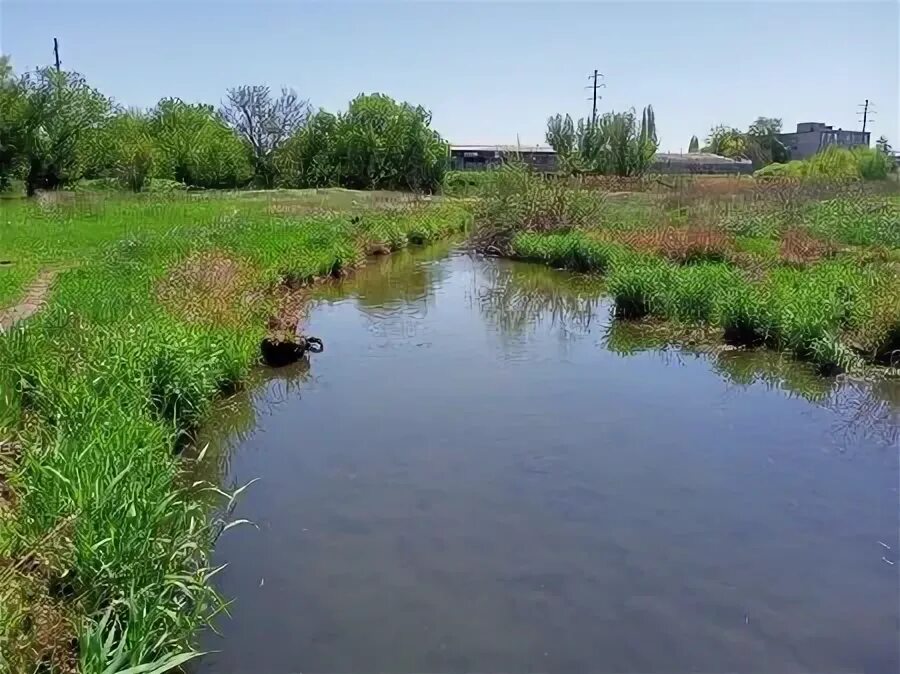 Луганская область село ольховая. Ольховая луганская. Хутор ольхов белгородская область. Белое луганская область. Село ольховое.