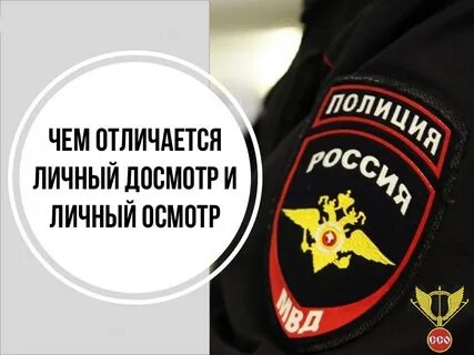 Отличие личного досмотра от личного обыска