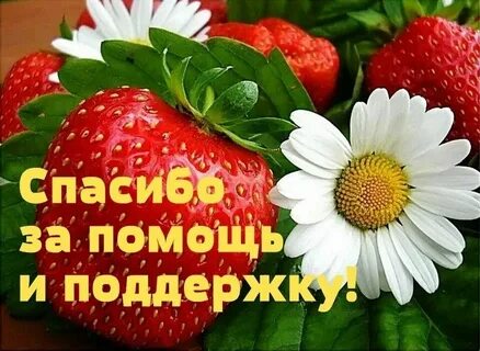 Отблагодарить за поддержку