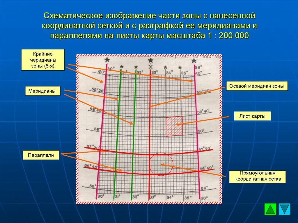 Линии сетки карты