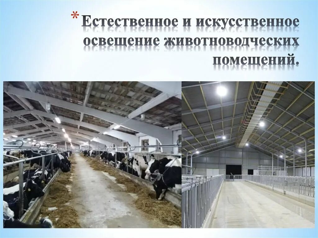 Контроль санитарного и зоогигиенического состояния объектов животноводства