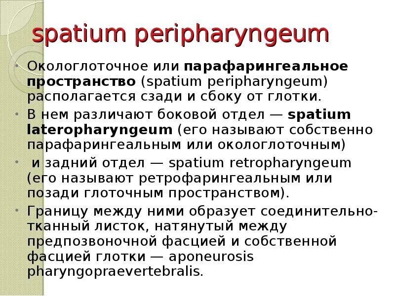 Spatium retropharyngeum. Парафарингеальное пространство. Парафарингеальное пространство анатомия. Границы парафарингеального пространства. Окологлоточное или парафарингеальное пространств.