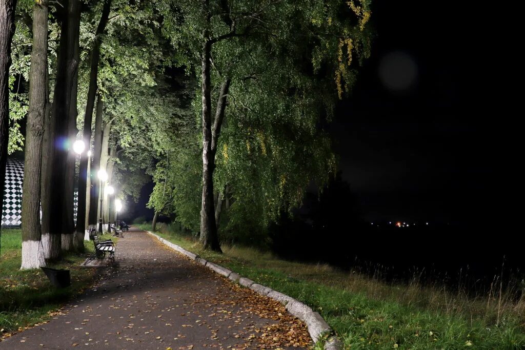 Вечером через парк. Городской парк Шуя аллеи. Парк на Крутихе Шуя. Парк аллея Кстово.