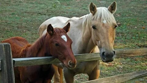 Me hors