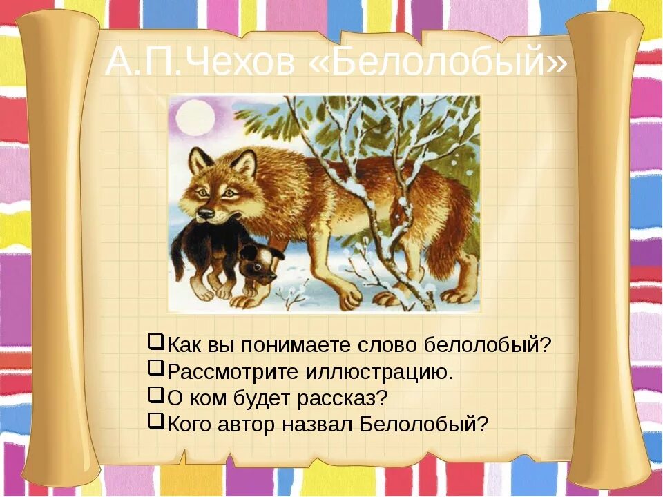 Белолобый 3 класс. Чехов а. Чехова "белолобый". "белолобый". П.