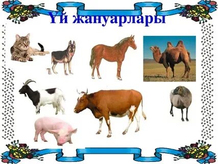 Ольга Засульская порно фото