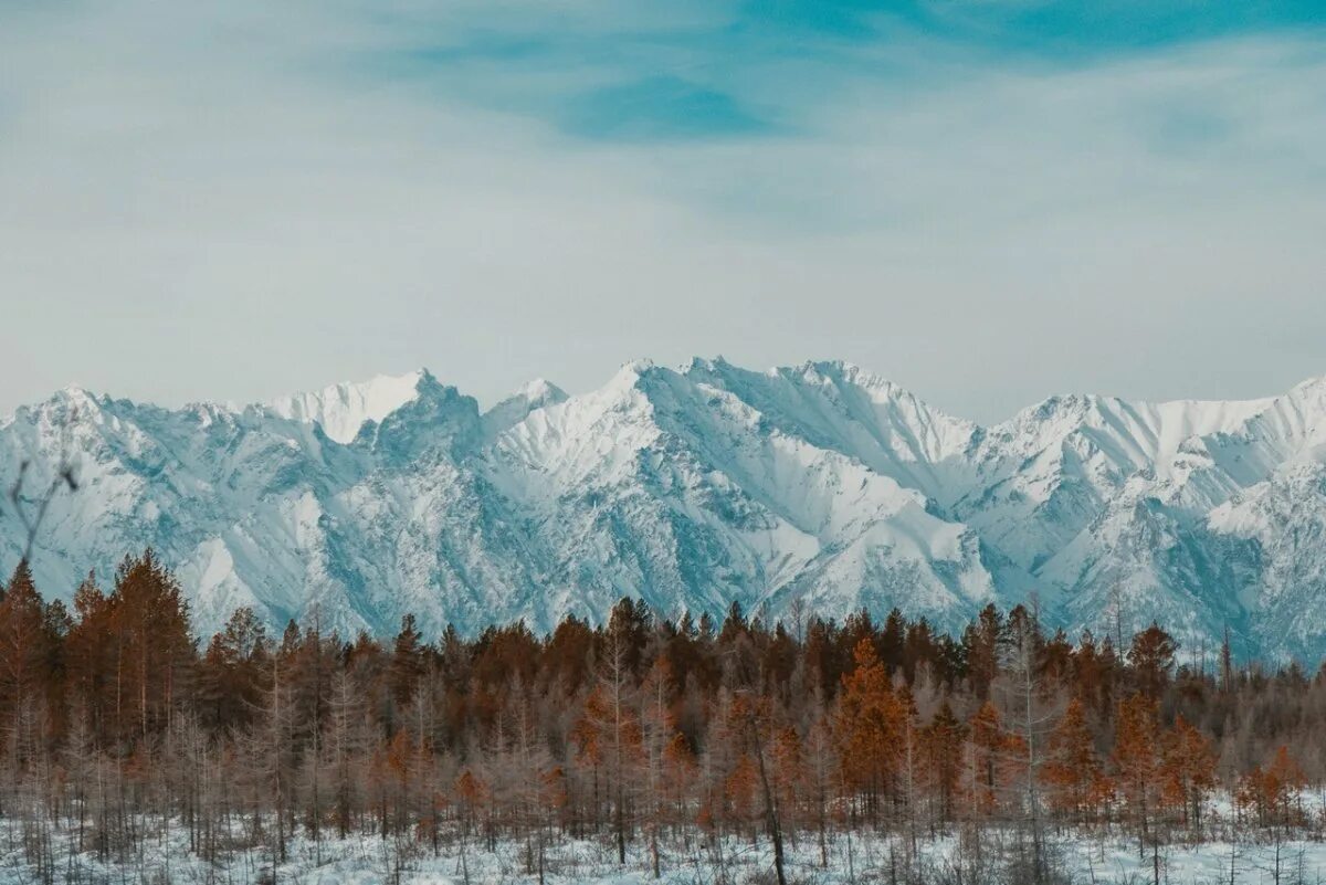 Кодар чара. Хребет кодар чара. Горы кодар забайкальский край. Новая чара кодар. Новая чара кодар.