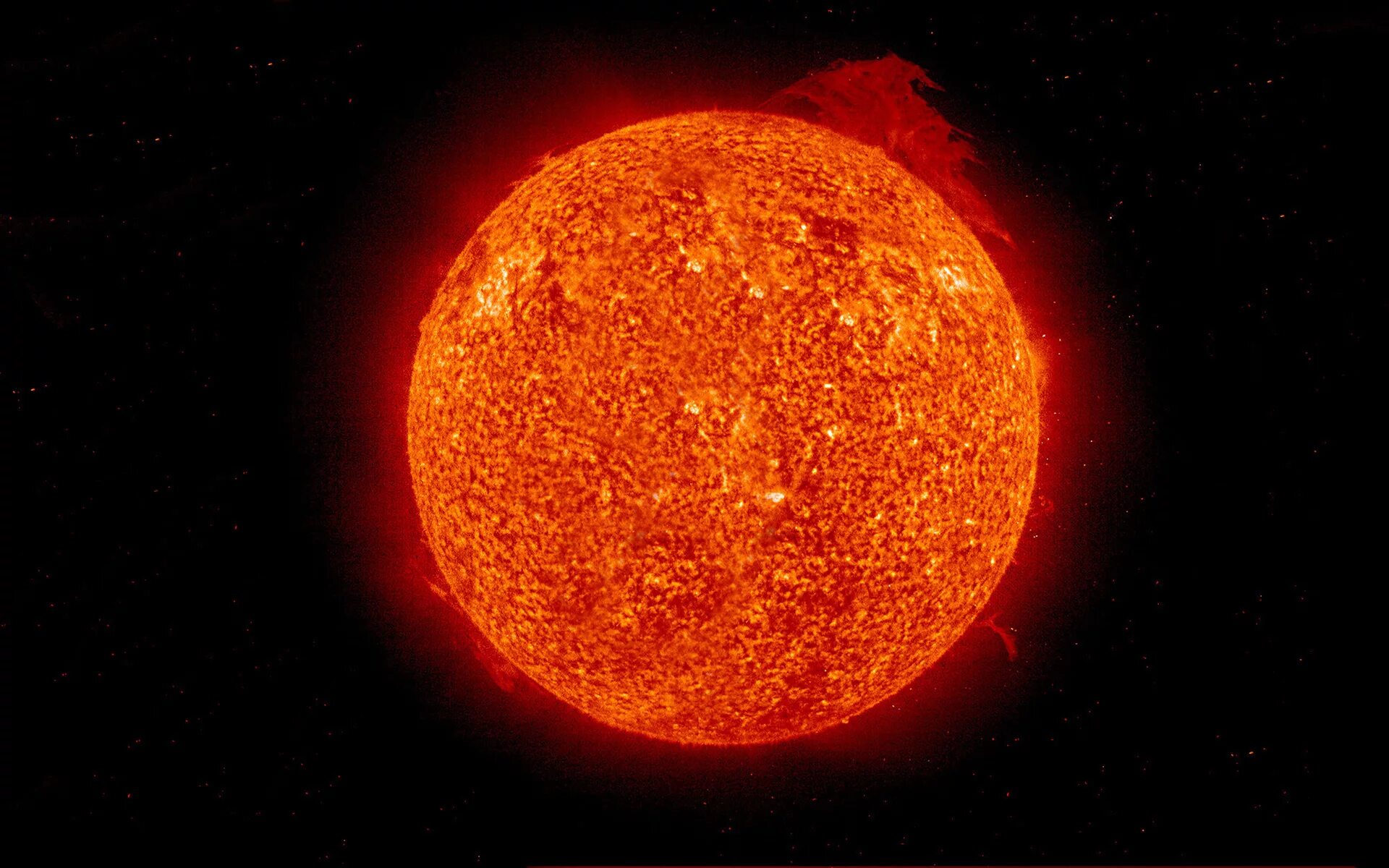 Этамин звезда. Красный сверхгигант Бетельгейзе. Солнце. Солнце в космосе. Четыре большие звезды