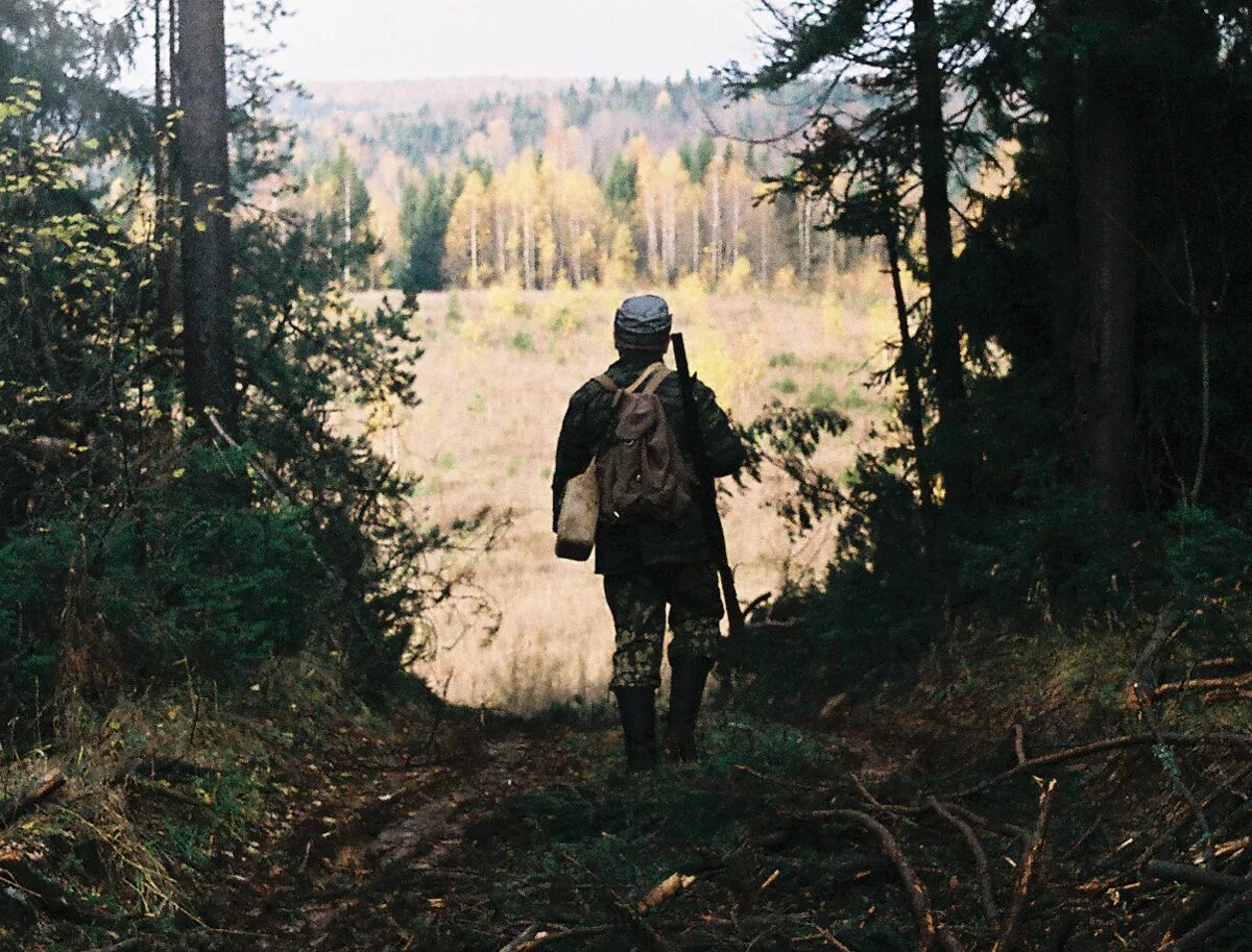 Путники медленно пробирались в глубину лесной чащи. Охотник в лесу. Человек в тайге. Человек идет по лесу. Лесничий в лесу.