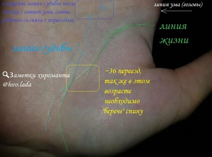 Линия жизни 1. Линия жизни. возраст на линии жизни. хиромантия линия жизни отходит линия. линия жизни на руке где она.