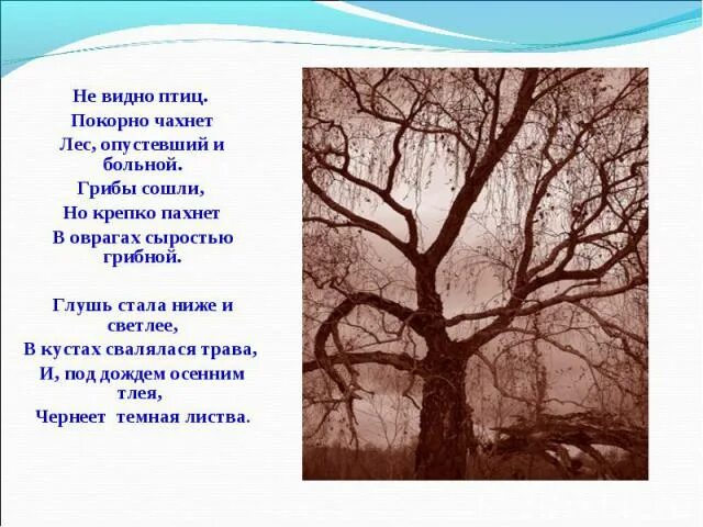 Покорно чахнет лес опустевший и больной. Не видно птиц покорно чахнет лес опустевший и больной. Стихотворение не видно птиц покорно чахнет лес опустевший и больной. Не видно птиц покорно чахнет.