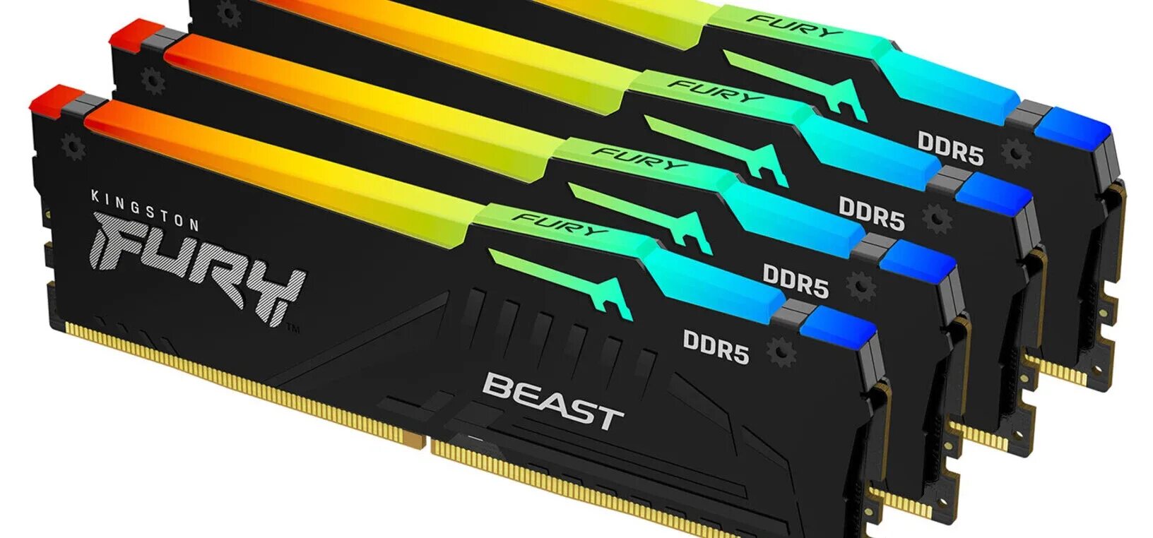 Оперативной памяти kingston fury beast 32gb. Kingston Fury Beast ddr5 RGB. Kingston Fury Beast ddr5 16gb 5600mhz. Kingston Fury Beast Black ddr5. Ram 32 GB ddr5.